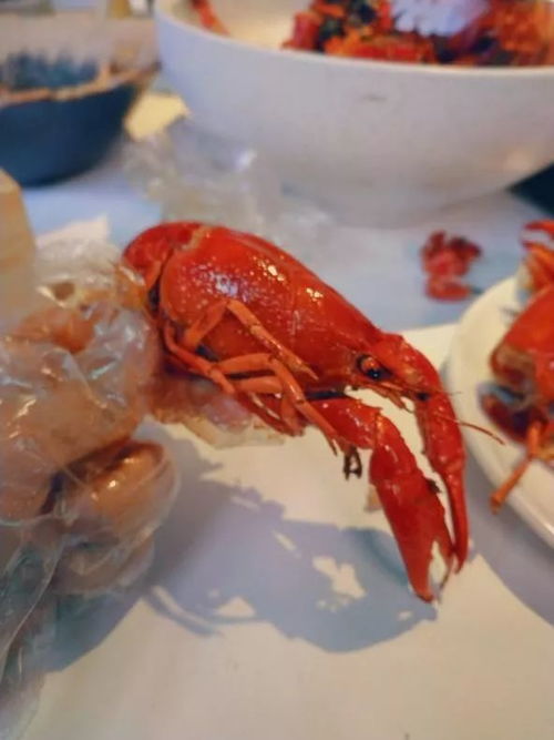 都說(shuō)不是一頓飯那么簡(jiǎn)單